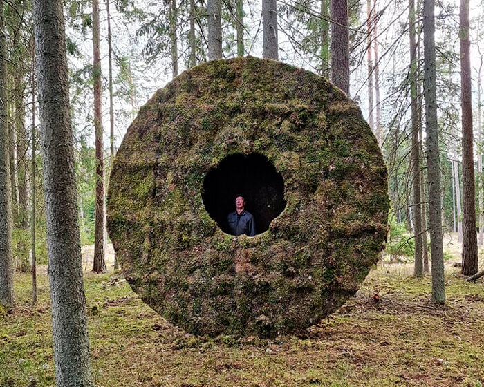 moss-covered hollowed disc by UMA feeds wild boars in swedish forest