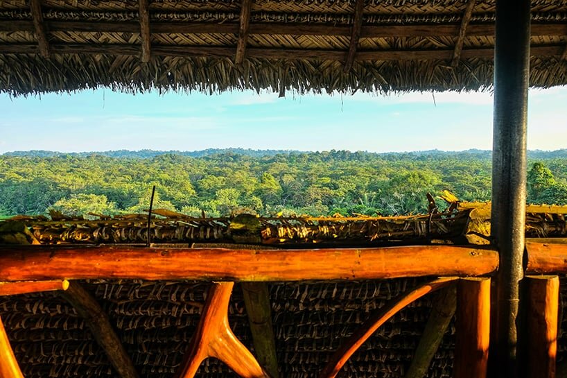 seven straw and palm weaved roofs compose napo wildlife center tower in ecuador