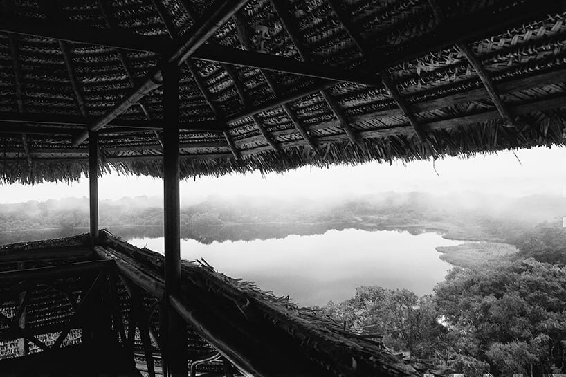seven straw and palm weaved roofs compose napo wildlife center tower in ecuador