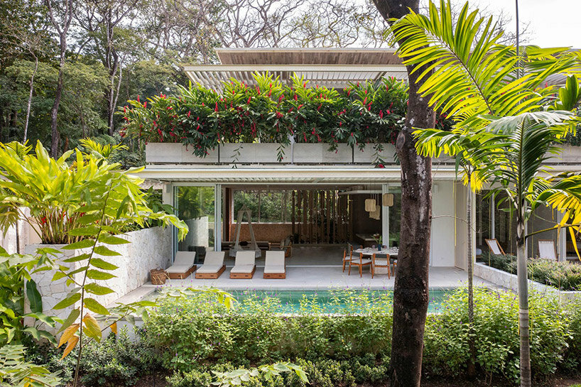 studio saxe casa azúcar