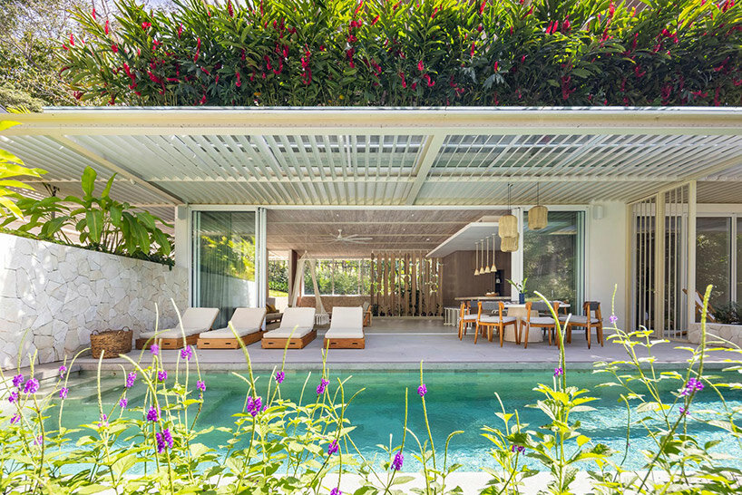 studio saxe casa azúcar