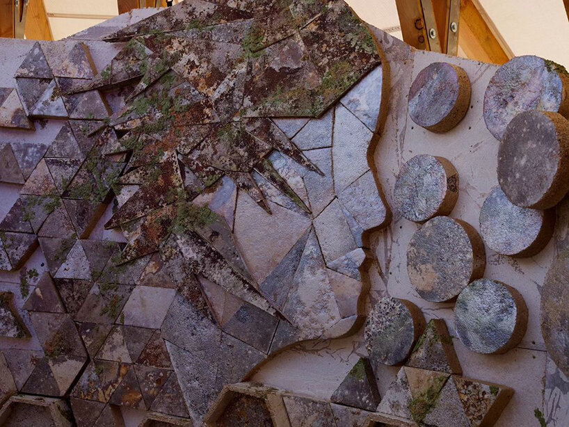 mycelium architecture designboom