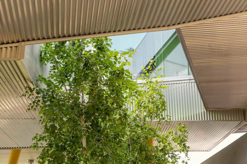 ELASTICOfarm clusters irregular boxes to form ‘the hole with the house around’