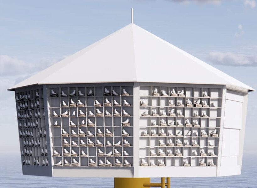 artificial bird nests nearshore wind farm ørsted red7marine