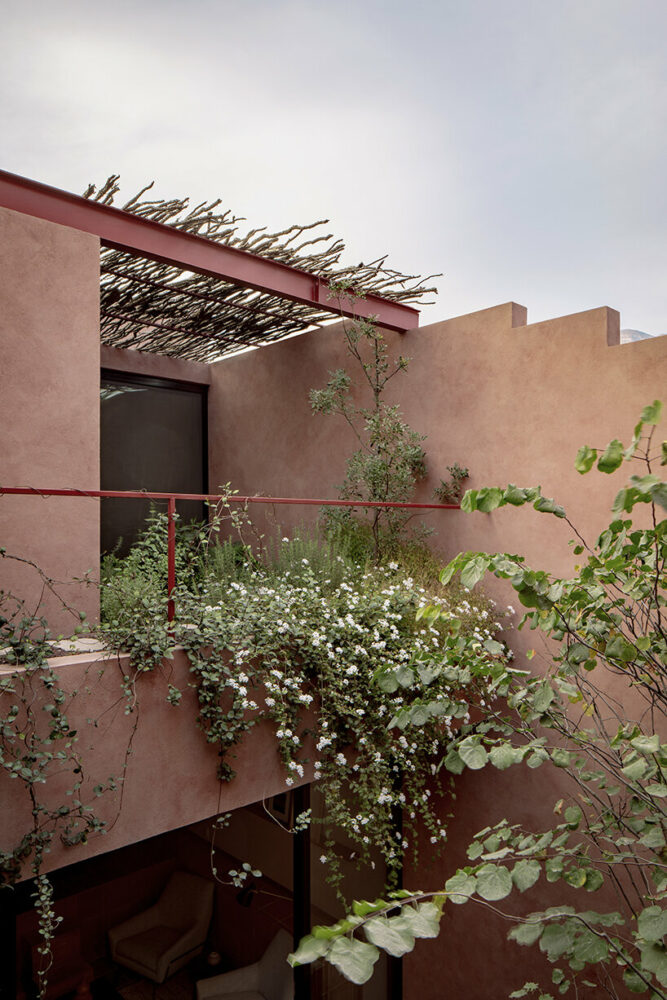 image © César Béjar