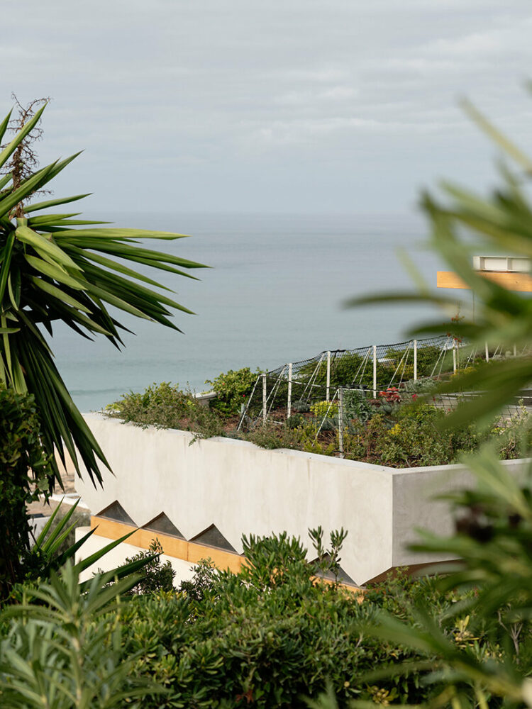 camouflaging the house amid the coastal landscape