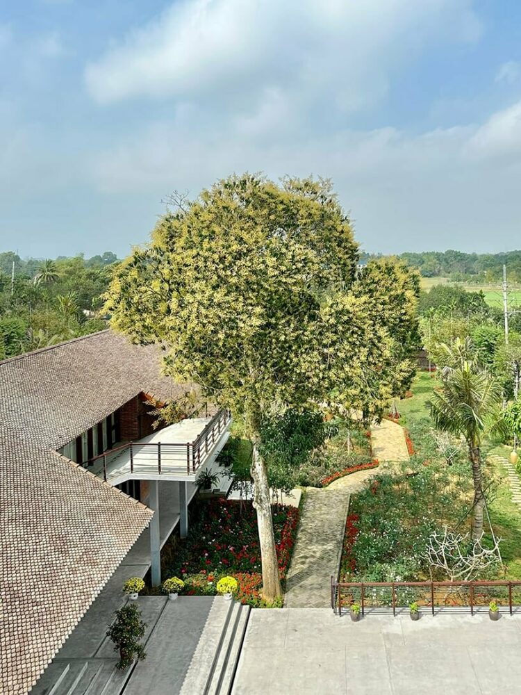 the design incorporates the preexisting large fruit trees into the layout