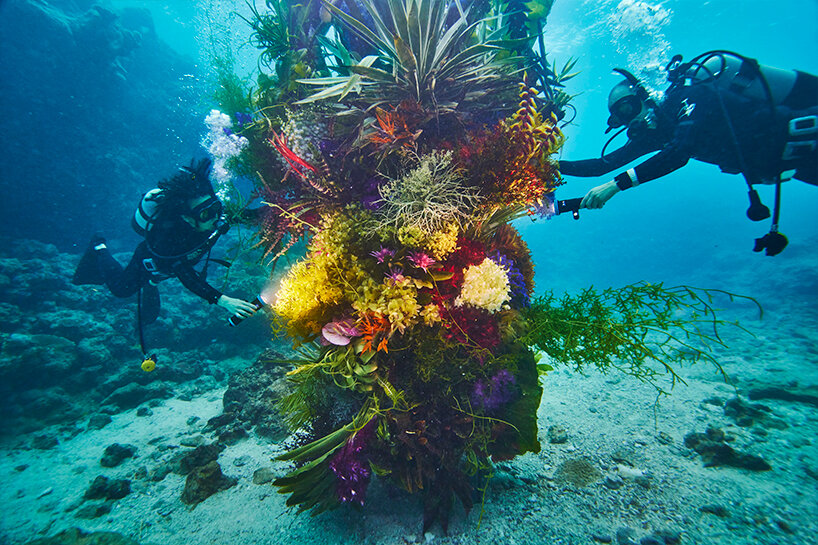 diving into nature: azuma makoto's floral installation blooms in japan's uncharted waters