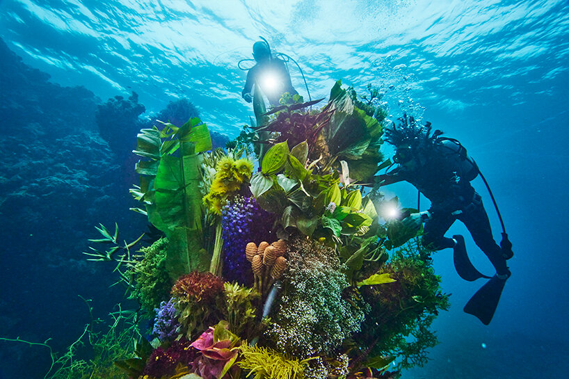 diving into nature: azuma makoto's floral installation blooms in japan's uncharted waters