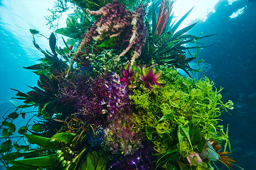 diving into nature: azuma makoto's floral installation blooms in japan's uncharted waters
