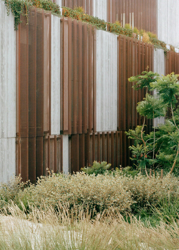 edition office balances heavy concrete fenwick homes with delicate copper screens