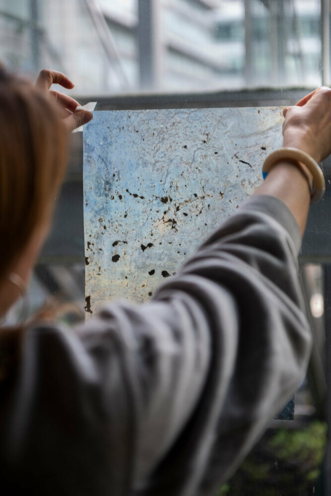 eva nielsen captures the camargue’s changing landscape in BMW’s INSOLARE exhibition