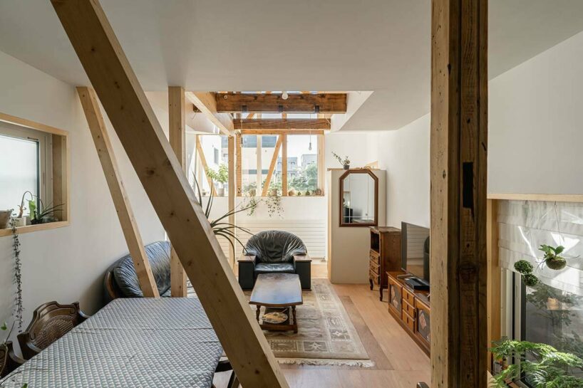 yoshichika takagi tops narrow dwelling in hokkaido with ‘greenhouse’ kitchen