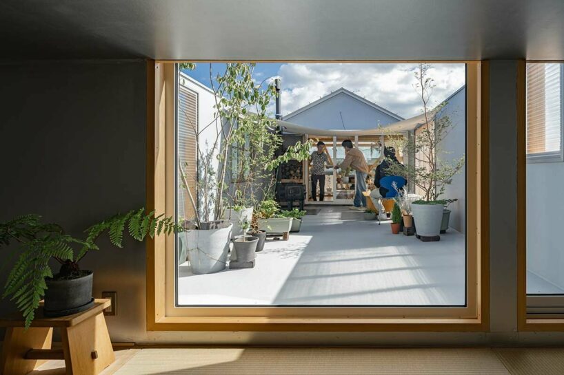yoshichika takagi tops narrow dwelling in hokkaido with ‘greenhouse’ kitchen