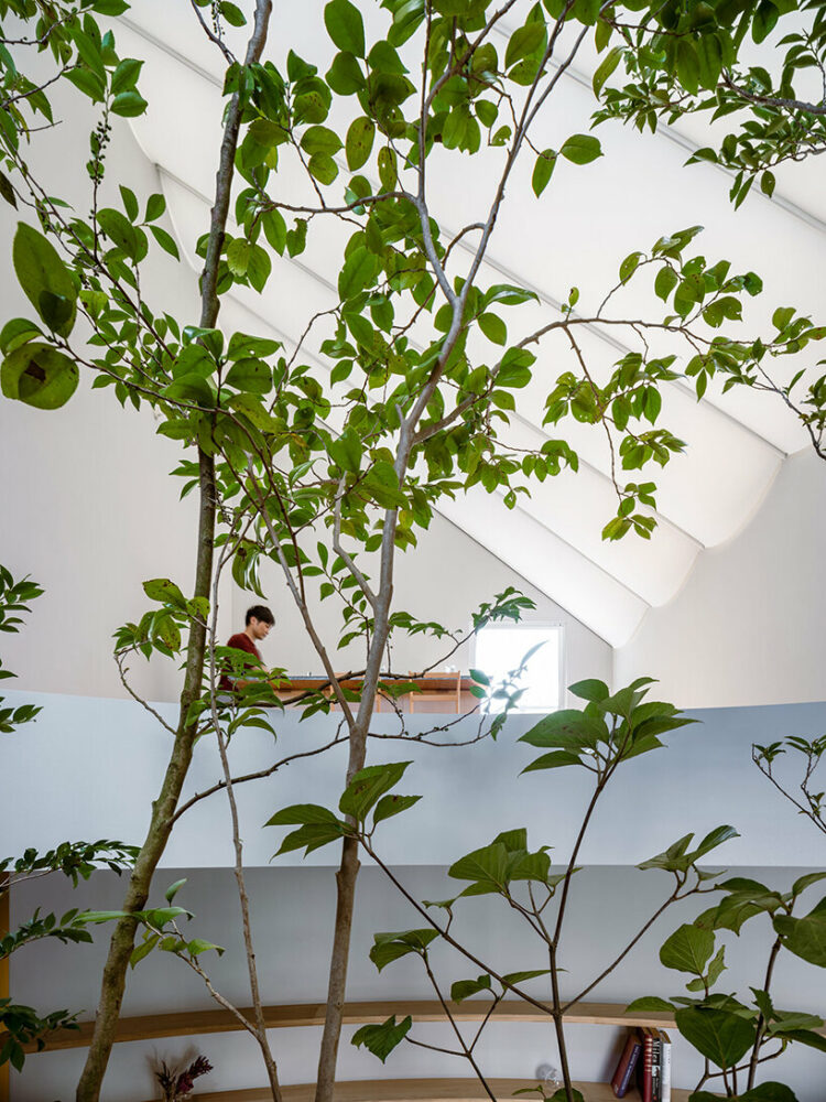 tubular membrane roof casts a soft glow over this two-story house in tokyo