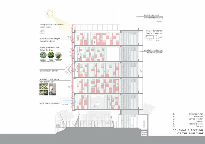 shared workspaces in india are wrapped in a living facade of stone planters