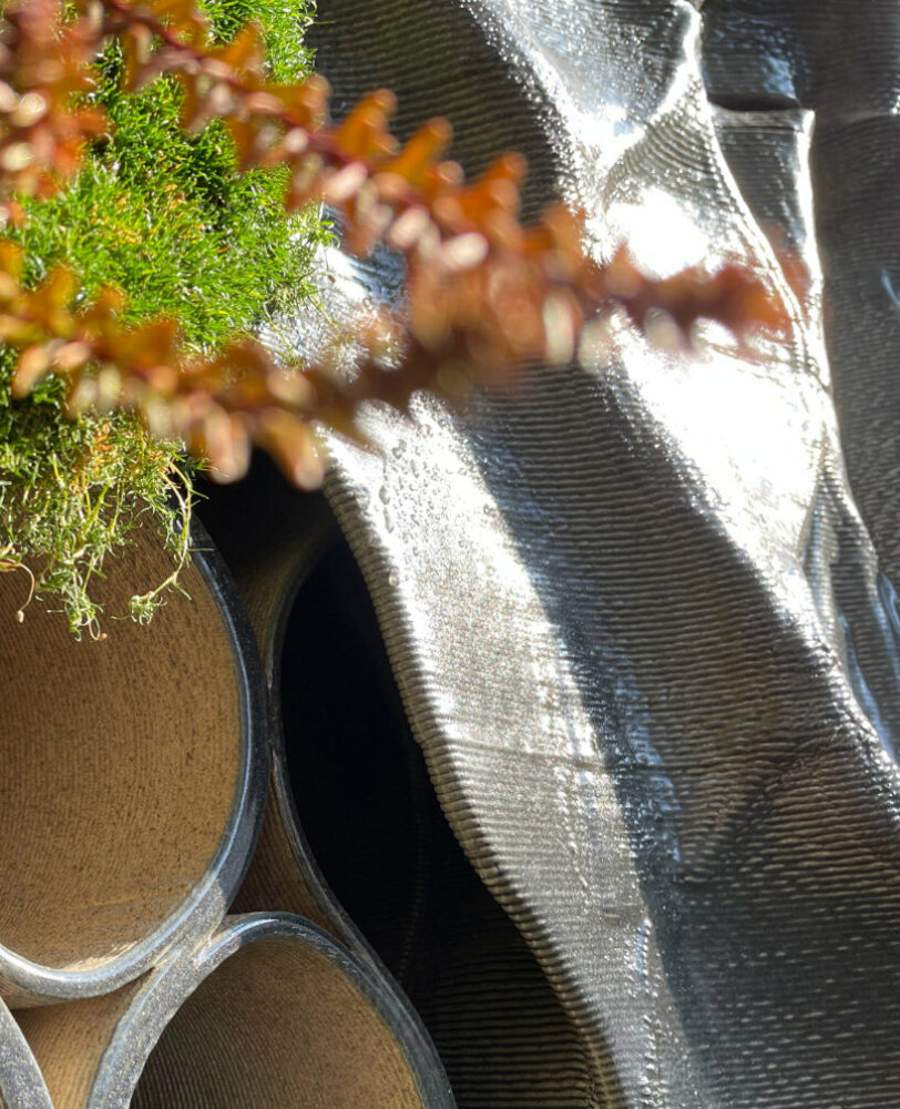 in detail, it becomes visible how overlaps and niches for flora and fauna form a biome