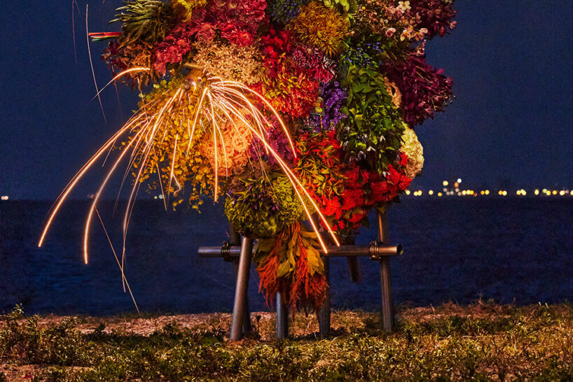 celebrating the beauty of nature