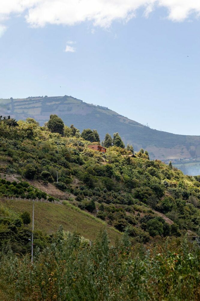 image by Andrés Villota