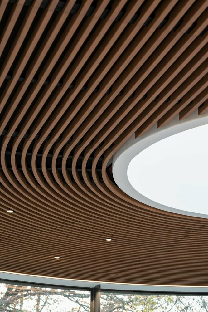 curved timber soffit ceiling