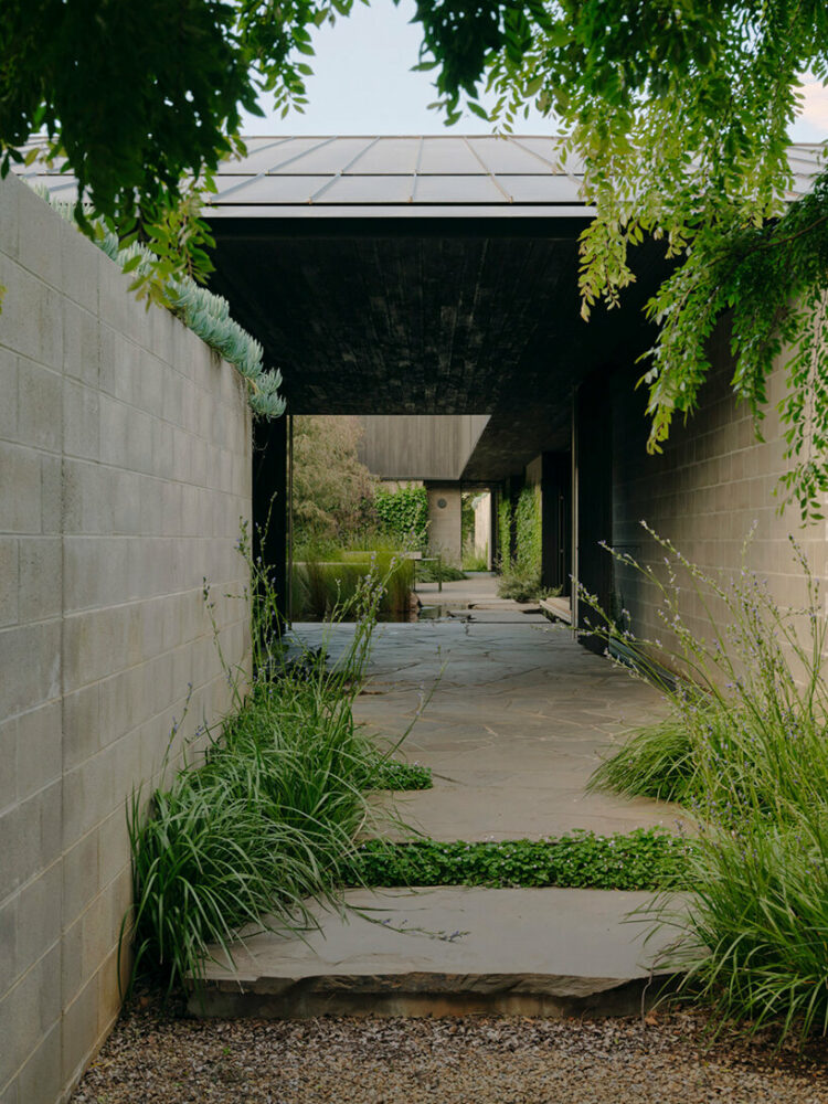 the built volume encompasses large openings which frame floor-to-ceiling greenery