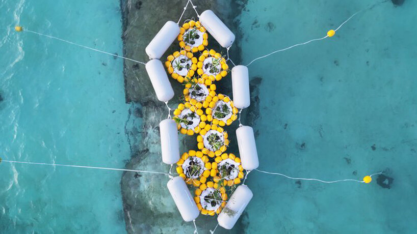 MIT’s self assembly lab harness the power of the ocean to grow islands and coastlines