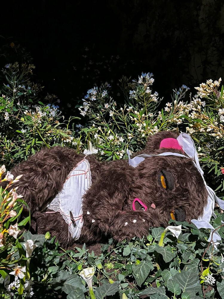 image by Sant'Andrea de Scaphis