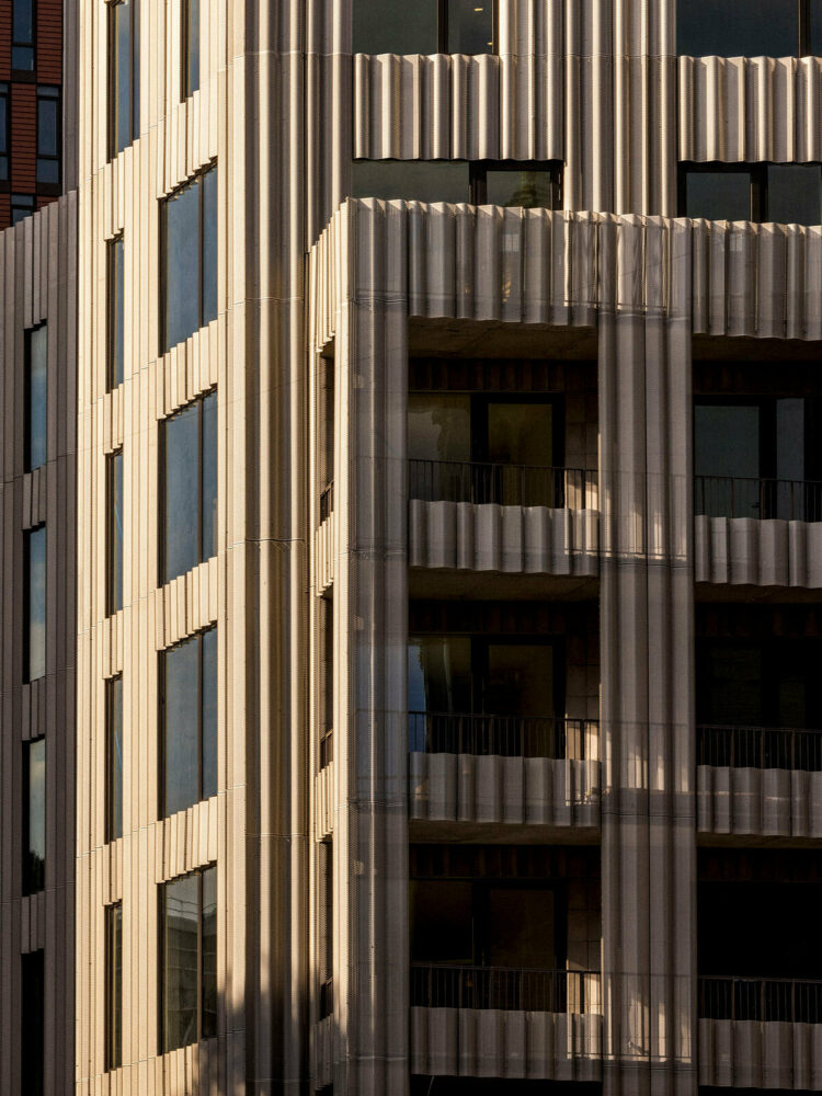 image © Jonathan Hokklo