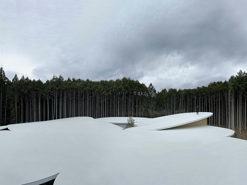 takashige yamashita children's forest