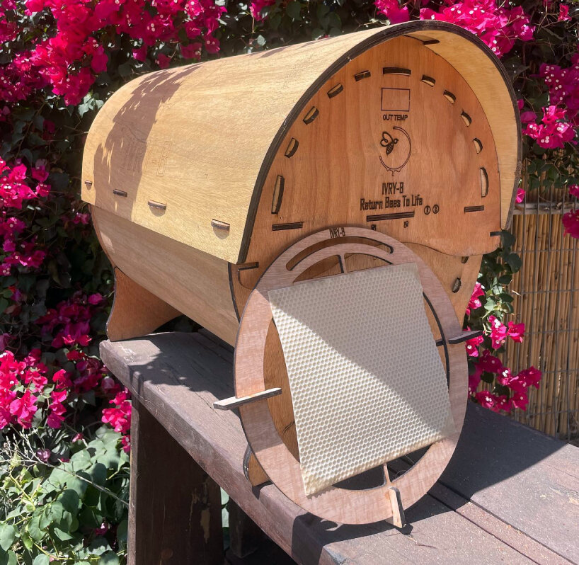 transparent round beehive ivry-B