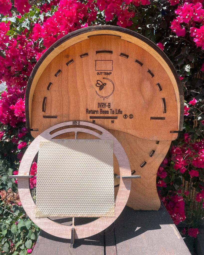 transparent round beehive ivry-B