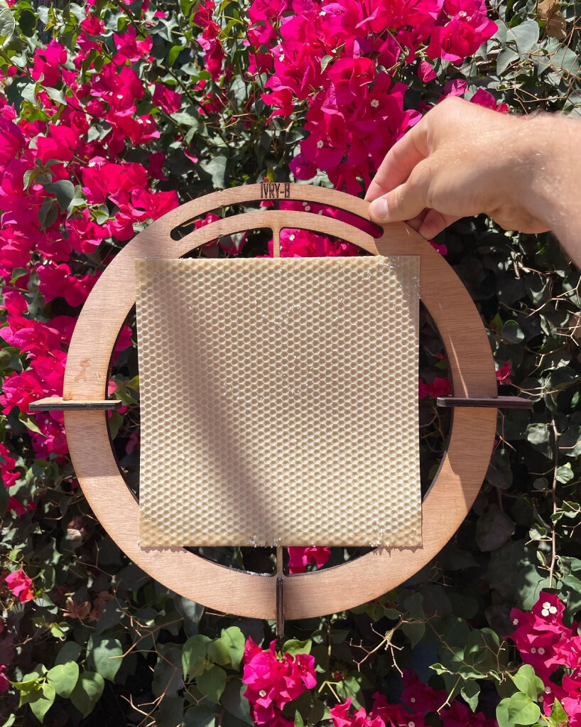 transparent round beehive ivry-B