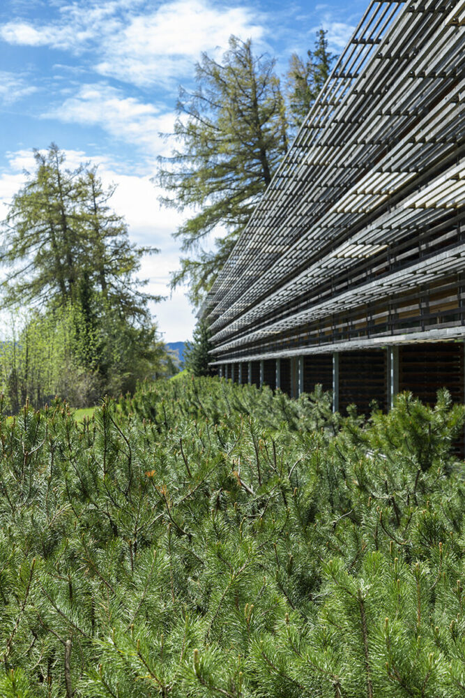 image © Patricia Parinejad