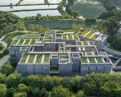 atelier FCJZ tops langtou cultural center with lush lotus garden ponds