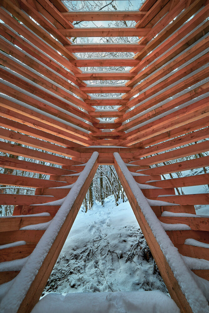 creating connection between humanity and the natural world