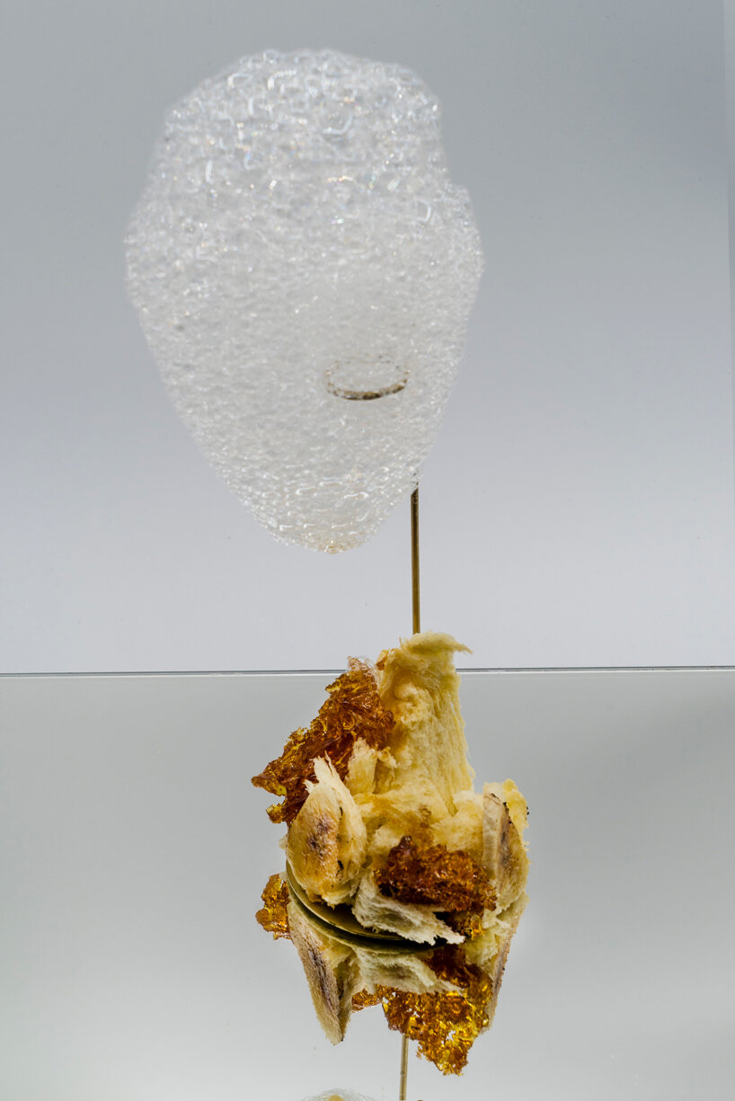 from edible clouds to mussel-derived ceramics, plat institute transforms the future of food - 6