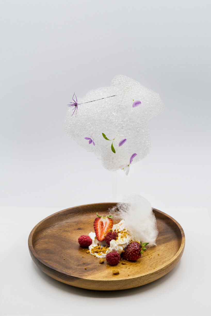 from edible clouds to mussel-derived ceramics, plat institute transforms the future of food - 8