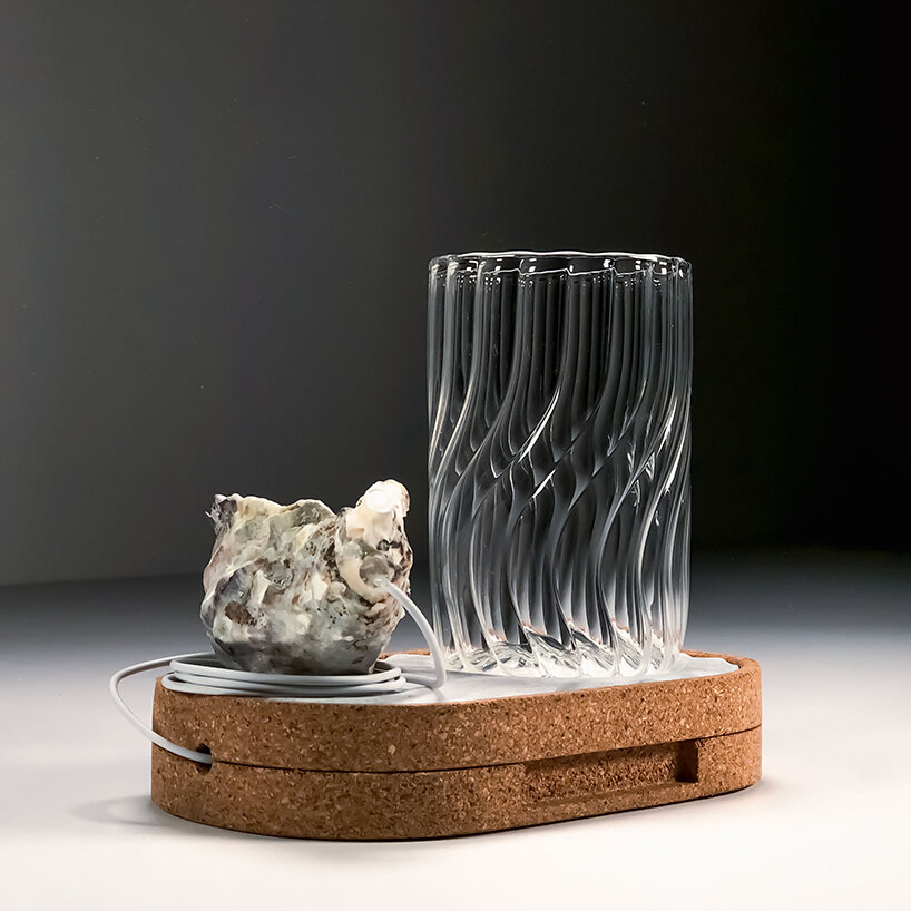 from edible clouds to mussel-derived ceramics, plat institute transforms the future of food - 5