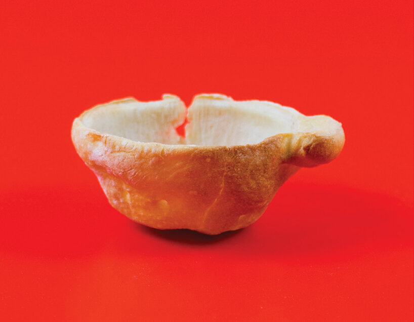 from edible clouds to mussel-derived ceramics, plat institute transforms the future of food - 10