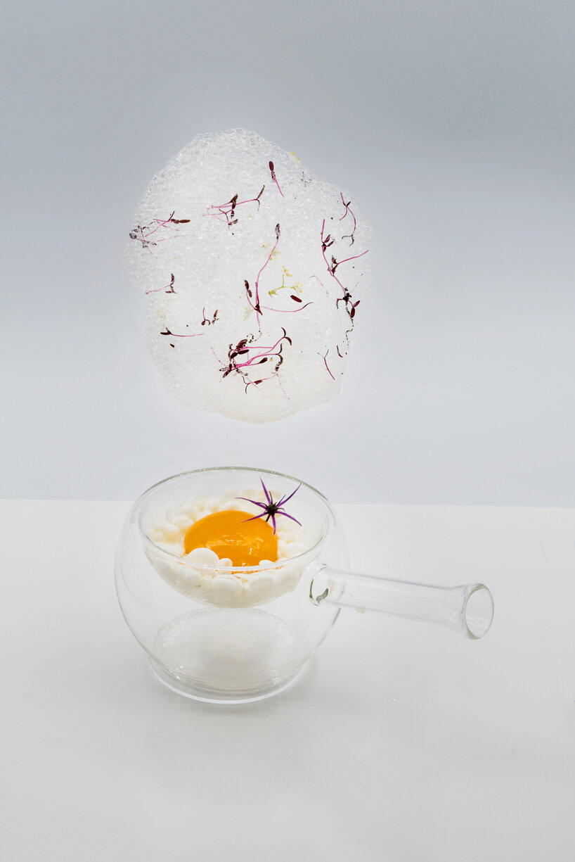 from edible clouds to mussel-derived ceramics, plat institute transforms the future of food - 9
