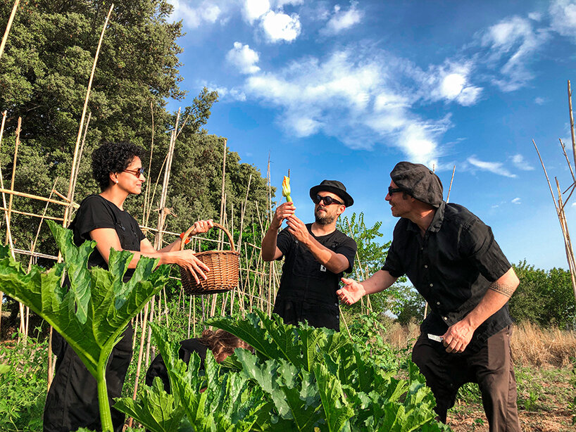 from edible clouds to mussel-derived ceramics, plat institute transforms the future of food - 13