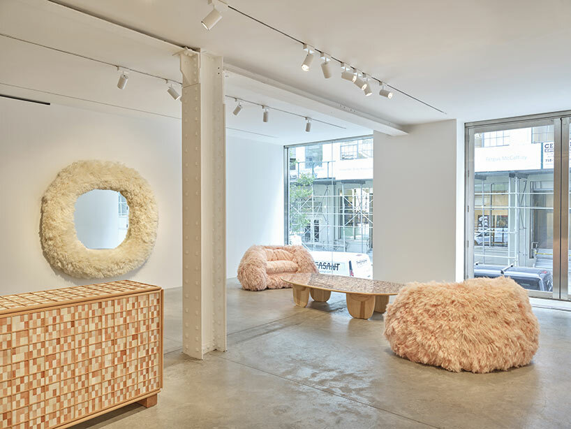 fernando laposse friedman benda