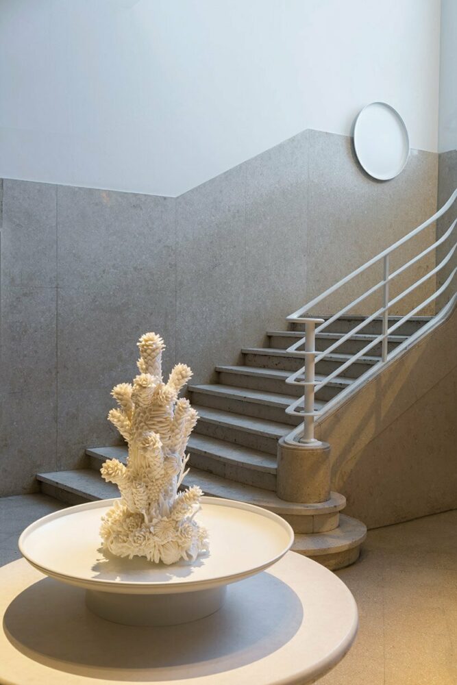 Fungi Kingdom develops a spatial arrangement in which nature, culture, and technology coexist