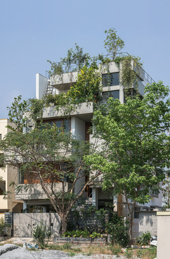 foliage overtaking the exterior facades