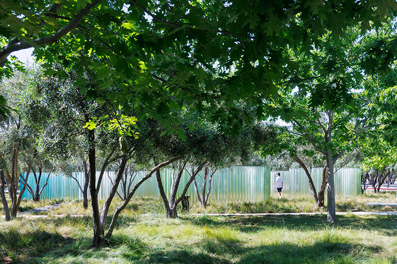 hidden amid the trees