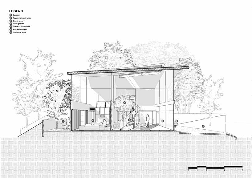longitudinal section