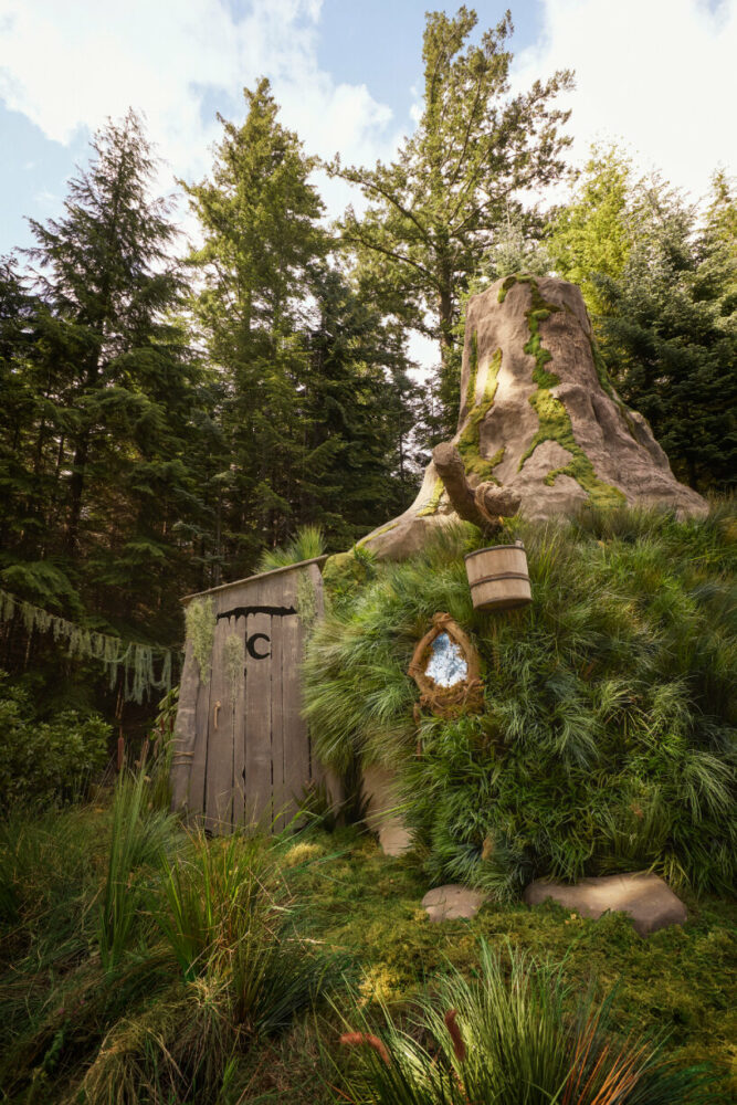 shrek's swamp airbnb