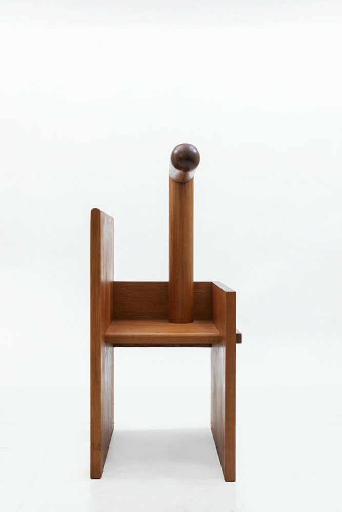 image © Ruy Teixeira