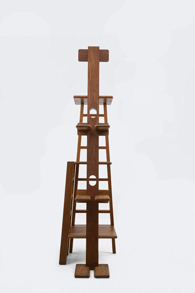 image © Ruy Teixeira