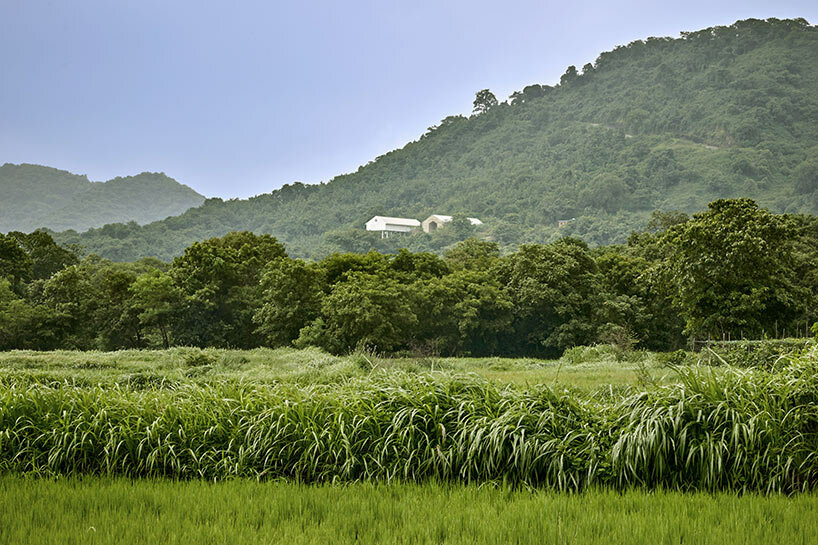 architecture brio ray